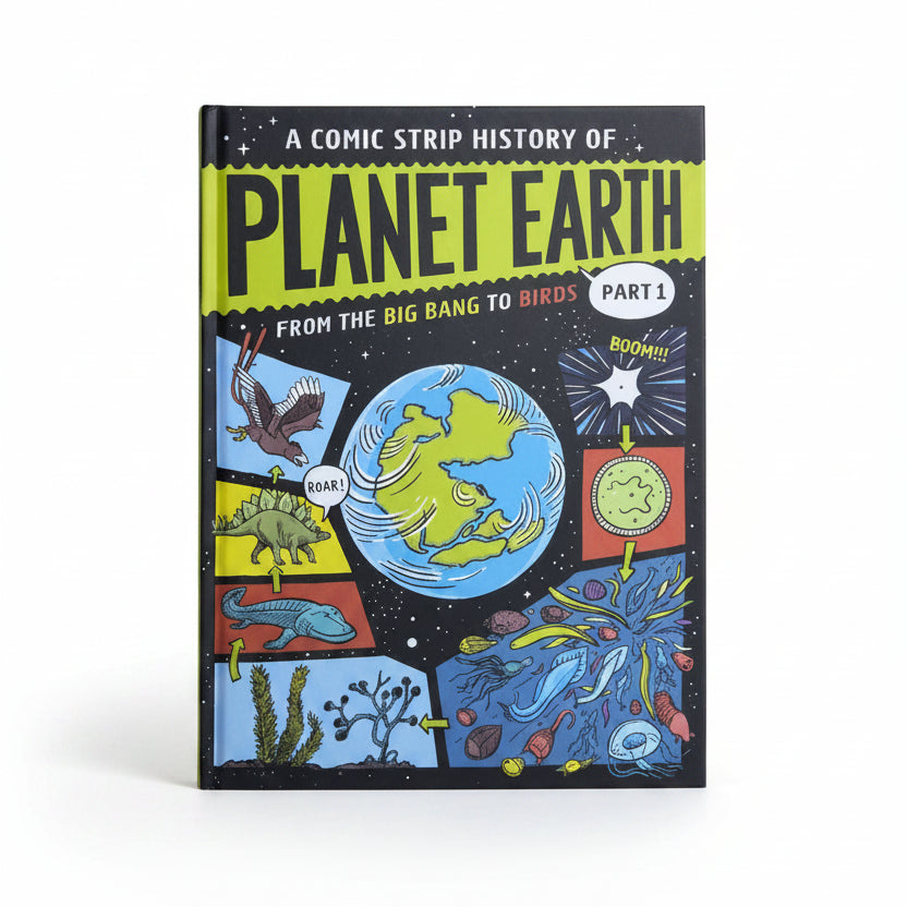 A Comic Strip History of Planet Earth From the Big Bang to Birds