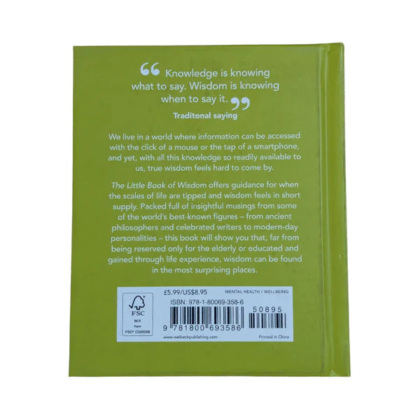 The Little Book of Wisdom: For when life gets a little tough