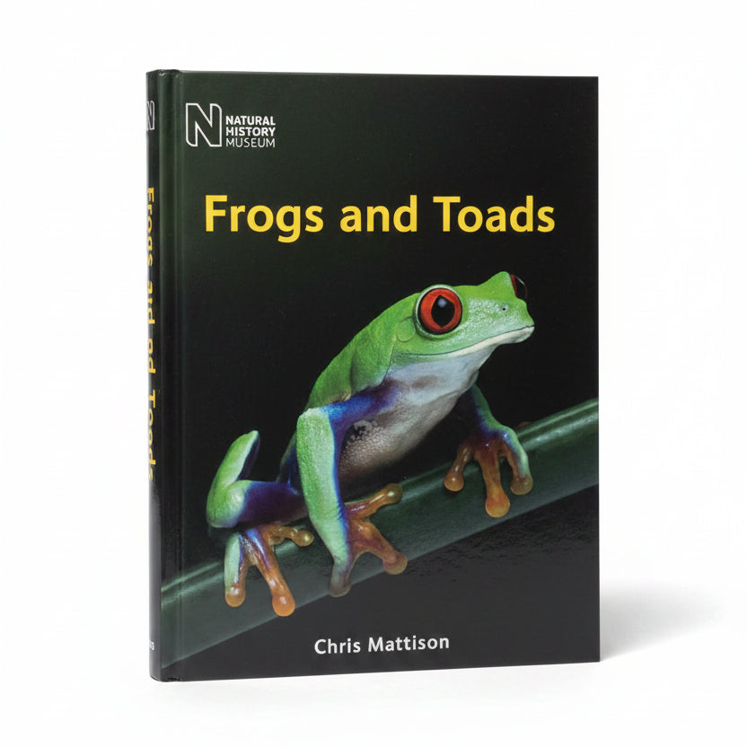 Frogs and Toads