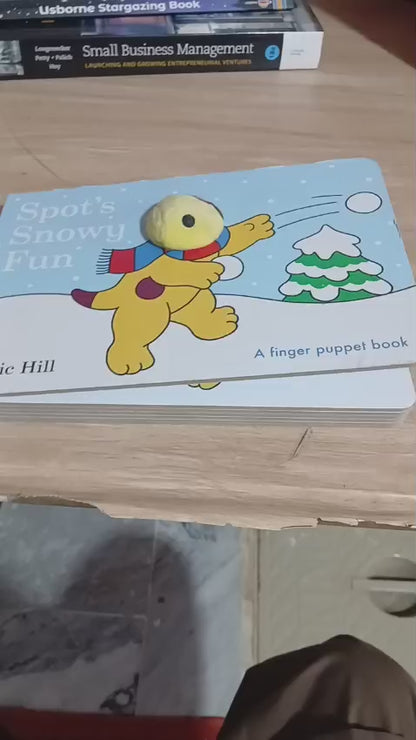 SPOT SNOWY FUN